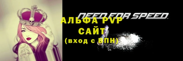 шишки Куйбышев
