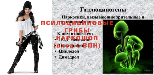 шишки Куйбышев