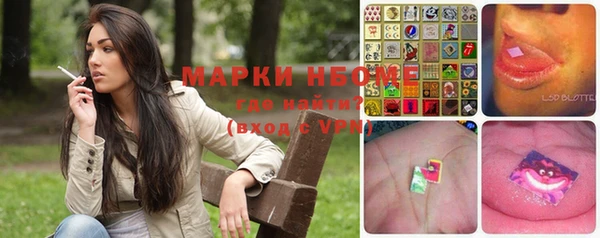 шишки Куйбышев